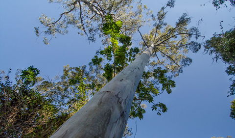 Basin Loop Track - Lightning Ridge Tourism 2