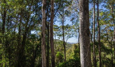 Basin Loop Track - Lightning Ridge Tourism 3