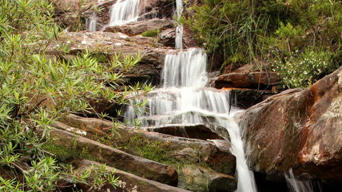 Popran National Park - Lightning Ridge Tourism 1