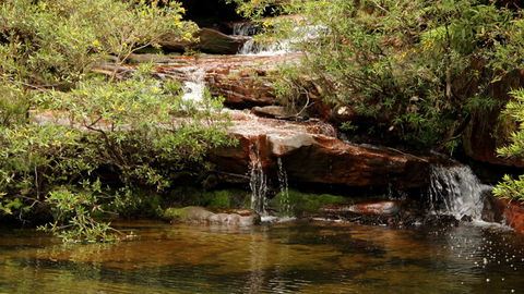 Popran National Park - Lightning Ridge Tourism 2
