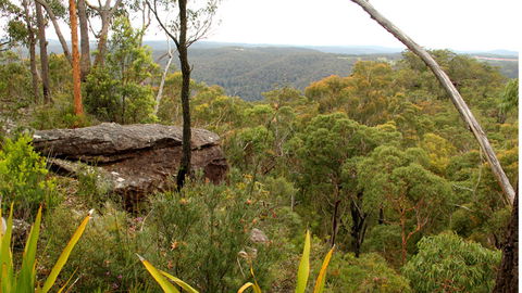 Popran National Park - Lightning Ridge Tourism 3
