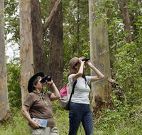 Chichester State Forest - Lightning Ridge Tourism