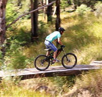 The Steps Mountain Bike Park - Lightning Ridge Tourism