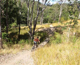 The Steps Mountain Bike Park - Lightning Ridge Tourism 2
