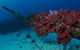 Severance Shipwreck Dive Site - thumb 2