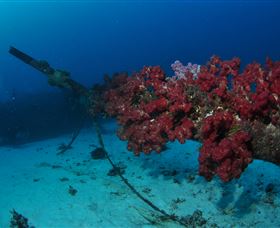 Severance Shipwreck Dive Site - Lightning Ridge Tourism 2