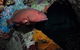 Severance Shipwreck Dive Site - thumb 1