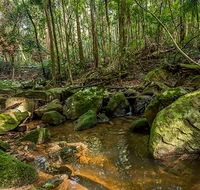 Palm Grove Nature Reserve - Lightning Ridge Tourism