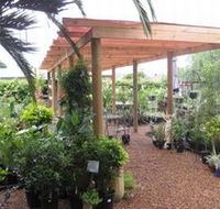 Country Elegance Gardens and Gifts - Lightning Ridge Tourism
