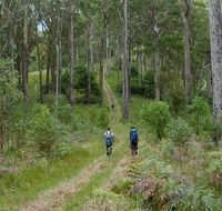 The Green Gully track - Lightning Ridge Tourism