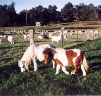 Trudgalong Farm - Lightning Ridge Tourism