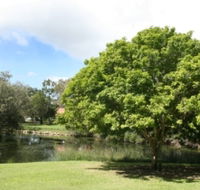 Hervey Bay Botanic Gardens - Lightning Ridge Tourism