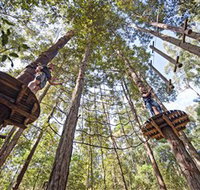 TreeTop Adventure Park Central Coast - Lightning Ridge Tourism