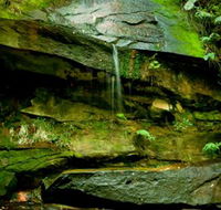 Strickland State Forest - Lightning Ridge Tourism