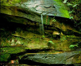 Strickland State Forest - Lightning Ridge Tourism 0