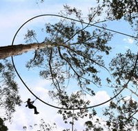 TreeTops Crazy Rider - Lightning Ridge Tourism
