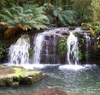 Barrington Tops National Park Walks - Lightning Ridge Tourism