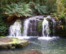 Barrington Tops National Park Walks - Lightning Ridge Tourism 0