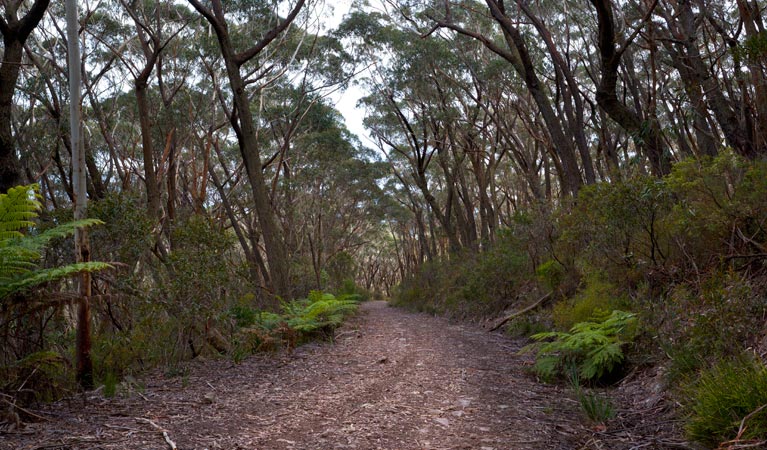Yadboro NSW Lightning Ridge Tourism
