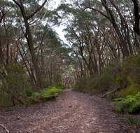 Budawang National Park - Lightning Ridge Tourism