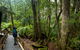 Monga National Park - thumb 0