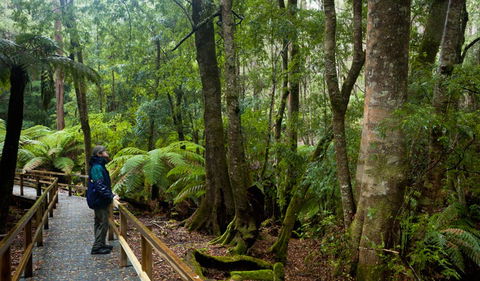 Monga National Park - Lightning Ridge Tourism 0