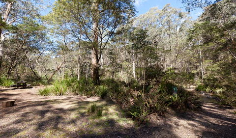 Monga National Park - Lightning Ridge Tourism 1