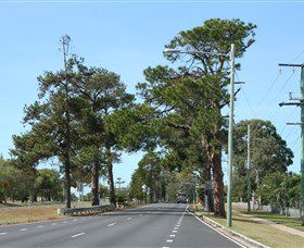 Anzac Memorial Avenue, Redcliffe - Lightning Ridge Tourism 2