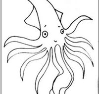 Squid Studio - Lightning Ridge Tourism