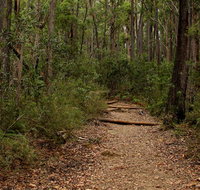Pigeon House Mountain Didthul walking track - Lightning Ridge Tourism