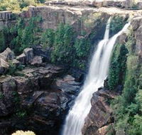 Minnamurra Rainforest Centre Budderoo National Park - Lightning Ridge Tourism