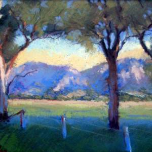 Galleries In The Gardens - Lightning Ridge Tourism 4