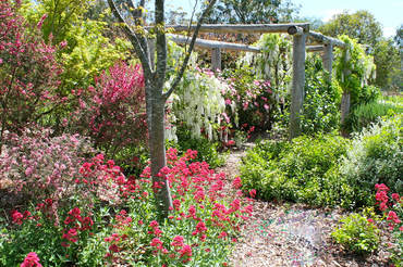 Ivy Hill Gallery - Lightning Ridge Tourism 6