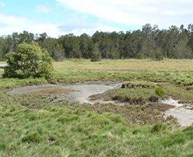 Boondall Wetlands Reserve - Lightning Ridge Tourism 1