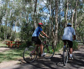 Boondall Wetlands Reserve - Lightning Ridge Tourism 2