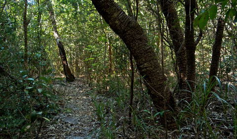 Wyrrabalong National Park - Lightning Ridge Tourism 2
