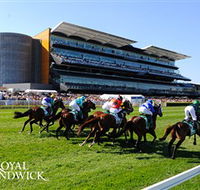 Royal Randwick Racecourse - Lightning Ridge Tourism