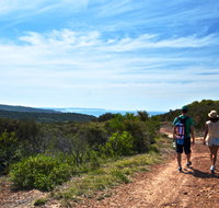 Moonee Beach trail - Lightning Ridge Tourism
