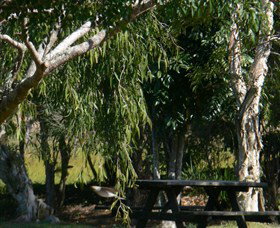 Casino NSW Lightning Ridge Tourism
