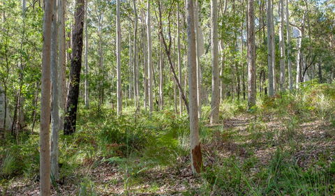 Corramy Regional Park - Lightning Ridge Tourism 1
