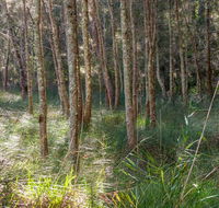 Anabranch loop track - Lightning Ridge Tourism