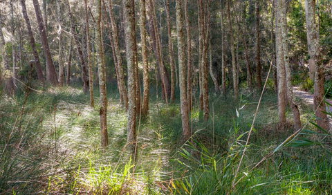 Anabranch Loop Track - Lightning Ridge Tourism 0