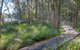 Anabranch Loop Track - thumb 3
