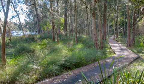 Anabranch Loop Track - Lightning Ridge Tourism 3
