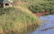 Spring Creek Bird Hide - thumb 0