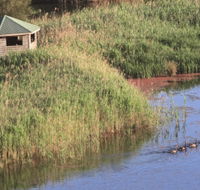 Spring Creek Bird Hide - Lightning Ridge Tourism