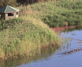 Spring Creek Bird Hide - Lightning Ridge Tourism 0