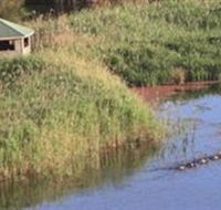 Spring Creek Wetlands Walk - Lightning Ridge Tourism