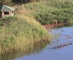 Spring Creek Wetlands Walk - Lightning Ridge Tourism 0