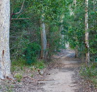 Delta track - Lightning Ridge Tourism